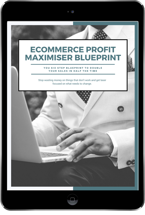 ecommerce profit maximiser blueprint